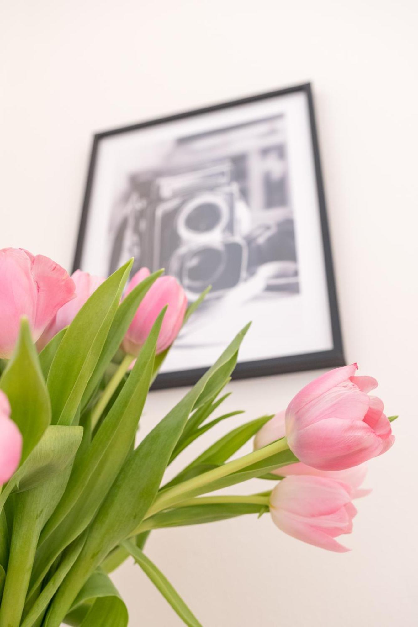 City Apartments Виена Екстериор снимка